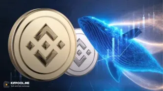 هدف قیمتی ۹۰۰ دلاری برای بایننس کوین (BNB)؛ افزایش فعالیت در صرافی‌ها و تحرک نهنگ‌ها