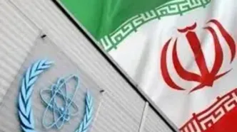 ابزاری سیاسی به نام آژانس