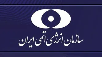 بیانیه سازمان انرژی اتمی درباره حمله به تاسیسات نطنز