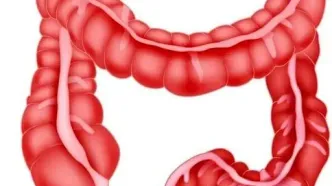 معجزه مصرف این گیاه برای سلامت روده شما که از آن بی خبرید