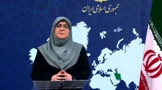 مهاجرانی: ۷۲ زن و کودک شهید شدند