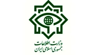 اطلاعیه مهم وزارت اطلاعات؛ تردد مشکوک کامیونت و وانت‌ها را گزارش دهید