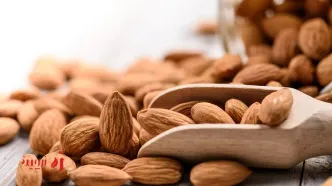 روزانه چند عدد بادام بخوریم تا از خواص آن برخوردار شویم؟