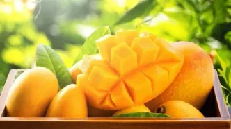 انبه؛ میوه‌ای خوش‌طعم با خاصیت دارویی برای زنان یائسه!