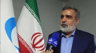 صنعت هسته‌ای متوقف نخواهد شد