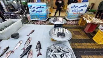 قیمت ماهی بی استخوان | قیمت ماهی قزل آلا | قیمت انواع ماهی ۱۲ خرداد ۱۴۰۴