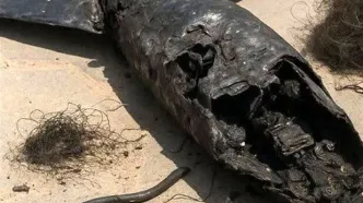 تصویری از انهدام پهپاد اسرائیلی در همدان