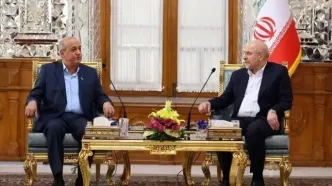 دیدار معاون دبیرکل جبهه مردمی برای آزادی فلسطین با رئیس مجلس