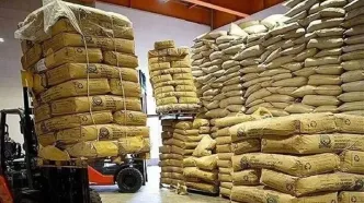 آخرین خبر از واردات چای به کشور
