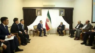 علی اکبر ولایتی با وزیرخارجه قزاقستان دیدار کرد