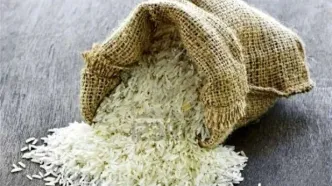 واردات برنج اوج گرفت
