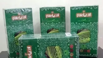 آغاز برداشت چین دوم برگ سبز چای/ ۶۱۴ میلیارد تومان مطالبات چایکاران شمال کشور واریز شد