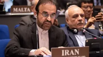 نماینده ایران در وین: کشورهای عضو آژانس از سوی آمریکا تحت فشار هستند