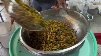ببینید؛ غذای خیابانی در کامبوج؛ جیرجیرک و ملخ سرخ شده با سبزیجات در سیم ریپ