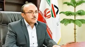 توضیح رئیس کل گمرک درباره دلیل دپوی ۵۰ هزار دستگاه خودرو