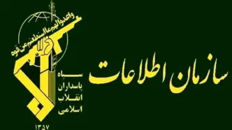 وزارت اطلاعات بیانیه داد