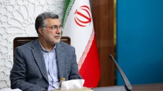 ظفرقندی: تحریم روی دارو تاثیر دارد، زیرا مبادله ارز دچار مشکل می‌شود