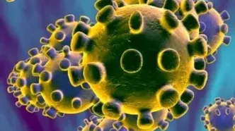 ویروس HPV از استخر منتقل نمی‌شود؛ به شایعات اینستاگرامی پایان دهید