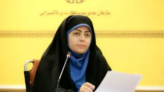 فعالیت مسافرکش های شخصی بدون مجوز قانونی ممنوع است/ تخلفات تاکسیرانان در جرایم مشابه قتل الهه حسین‌نژاد نزدیک به صفر است