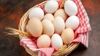 آیا مصرف زرده تخم مرغ در کهنسالی مضر است؟