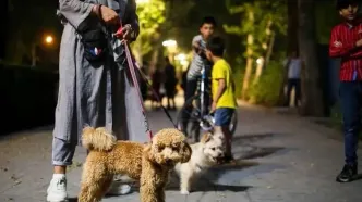 فروش سگ آزاد و بیرون بردن آن ممنوع است؟!