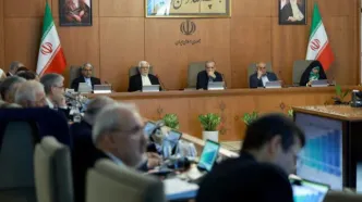 دستور رئیس‌جمهور برای تجهیز سازمان حفاظت محیط زیست به پهپاد