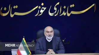 ممنوعیت کشت برنج در خوزستان تا اطلاع ثانوی