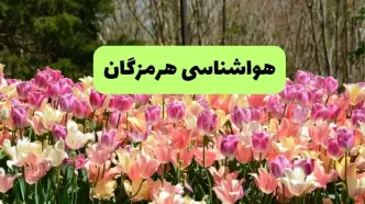 خبر فوری هواشناسی هرمزگان ۲۴ ساعت آینده | پیش بینی وضعیت آب و هوا هرمزگان فردا شنبه ۱۷ خرداد ماه ۱۴۰۴