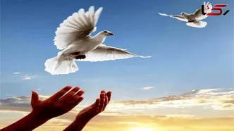 بخشش مردی که دختر مورد علاقه‌اش را کشت