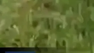 ببینید؛ سناتور کلمبیایی در تجمع انتخاباتی هدف گلوله قرار گرفت
