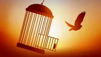 آزادی ۶۵ زندانی جرایم غیرعمد یزدی در ۳ ماهه ابتدایی سال جاری