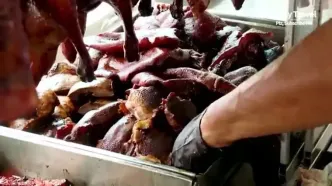ببینید؛ غذای خیابانی در مالزی؛ اردک سرخ شده روی آتش با سس مخصوص در کوالالامپور