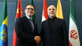 دیدار روسای مجالس ایران و برزیل