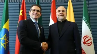 دیدار روسای مجالس ایران و برزیل