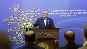 اسلامی: هوش مصنوعی می‌تواند نقشی حیاتی در صنعت هسته‌ای ایفا کند