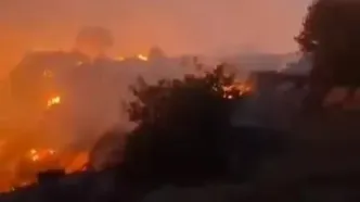 سهل‌انگاری مسافران، علت آتش‌سوزی در پارک ملی گلستان اعلام شد