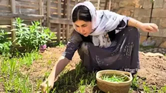 ببینید؛ غذای روستایی در کردستان؛ پخت یک چلو مرغ متفاوت و خلاقانه