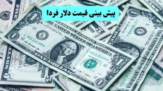 پیش بینی قیمت دلار فردا دوشنبه ۱۹ خرداد ۱۴۰۴ | سقوط دلار و یورو ادامه دارد؟