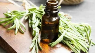 چگونه از روغن رزماری برای موها استفاده کنیم؟