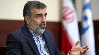 کمالوندی: در صورت تصویب قطعنامه، ایران در سطح همکاری با آژانس تجدیدنظر خواهدکرد