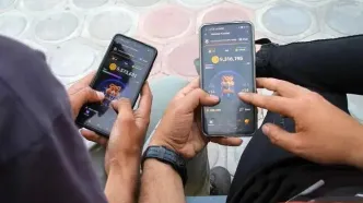 پایان جنجالی همستر کامبت