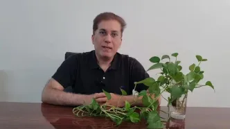 کالابرگ دهک های ۴ تا ۷ کی واریز می شود؟ + ویدئو