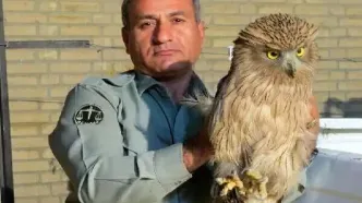 دستور دادستان مرکز استان کهگیلویه و بویراحمد برای شناسایی عاملان قتل «هدایت الله دیده‌بان» محیط‌بان در کوه خاییز