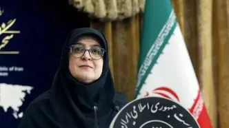 مهاجرانی: همکاری ما با آژانس بین‌المللی انرژی اتمی شکل جدیدی به خود می‌گیرد