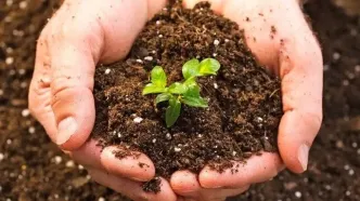 سرنوشت خاک‌های آلوده پس از حادثه اتمی نیروگاه فوکوشیما چه شد؟