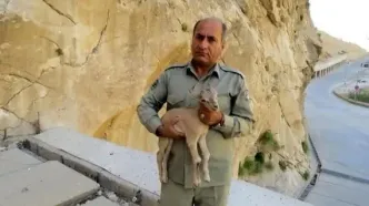 قاتل محیط‌بان خائیز در عملیات ضربتی پلیس بهبهان دستگیر شد
