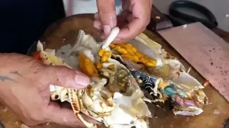 ببنیید؛ برش ماهرانه خرچنگ غول پیکر رنگین کمانی و پخت غذا با آن در ویتنام