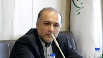 سبحانی: اطلاعاتی داریم که ریزپرنده‌ها از برخی کشورهای همسایه وارد ایران شده است