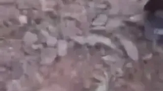 ویدیویی منتسب از ساقط شدن پهپاد متعلق به رژیم صهیونیستی توسط سامانه پدافند منطقه شمال غرب در ارتفاعات شهرستان اسکو