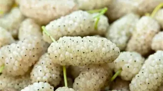 با خوردن این میوه  افسرده و مضطرب نمی‌شوید